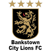 希爾斯聯(lián)FC