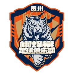成都宇暉仁德